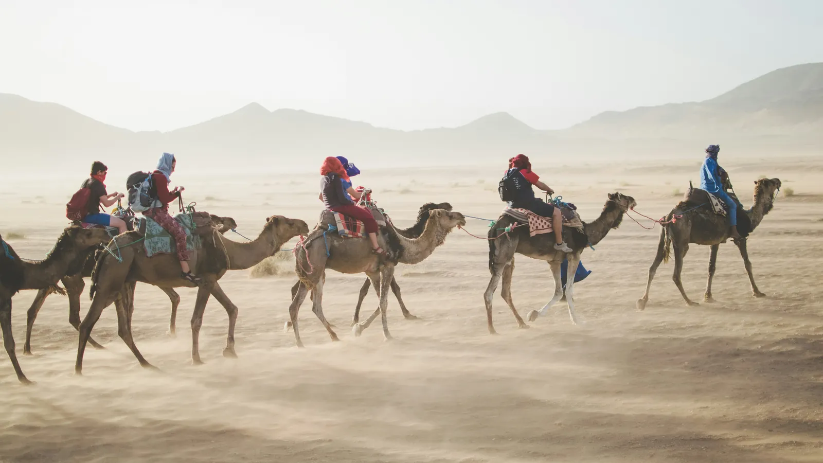 A camel caravan crossing the desert at dawn